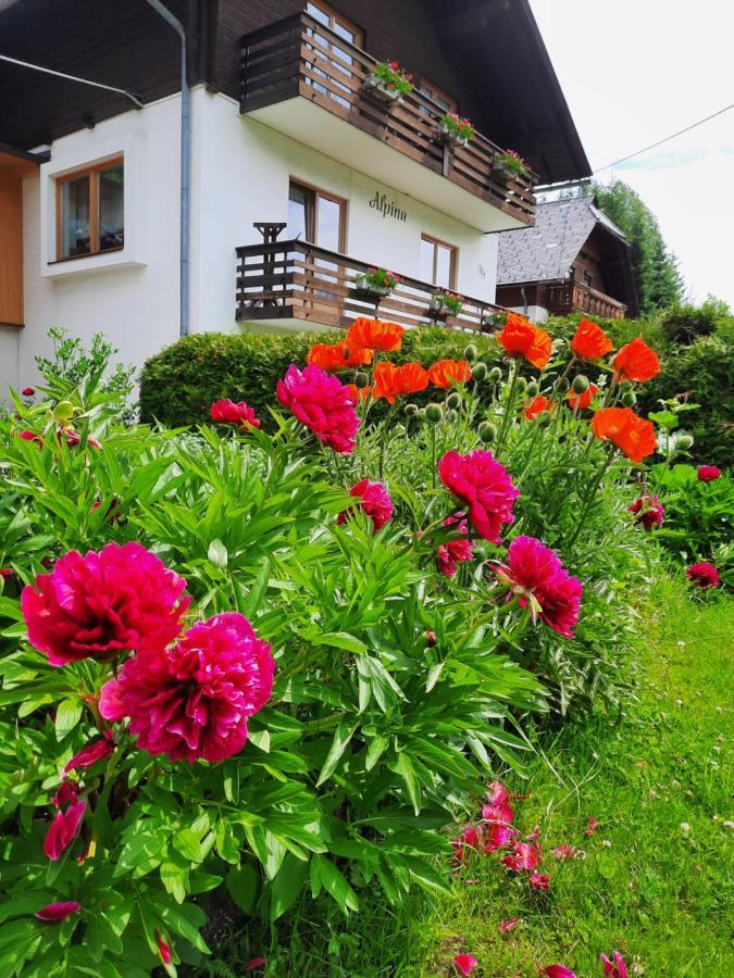 Haus Alpina Apartamento Weissensee Exterior foto